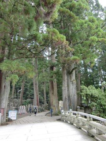 pic koyasan okunoin entrance