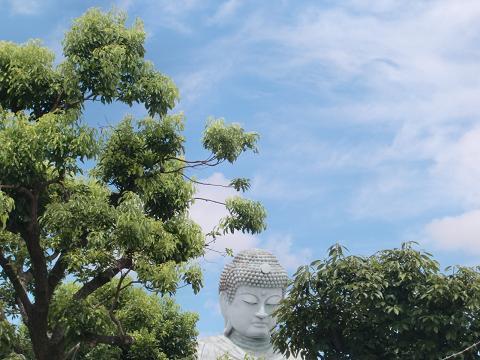 pic_03_tenjoji_26_hyogo_daibutsu.jpg