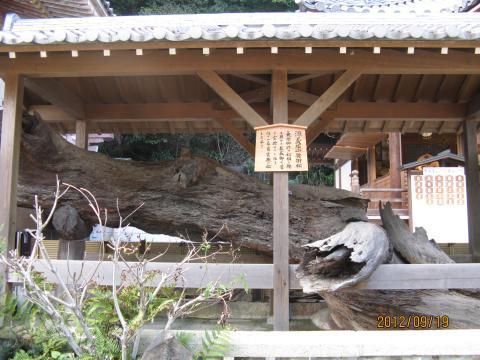 pic 05 sumadera 11 koshikake01