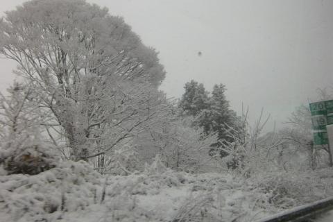 pic 15 daizenji 03 snow